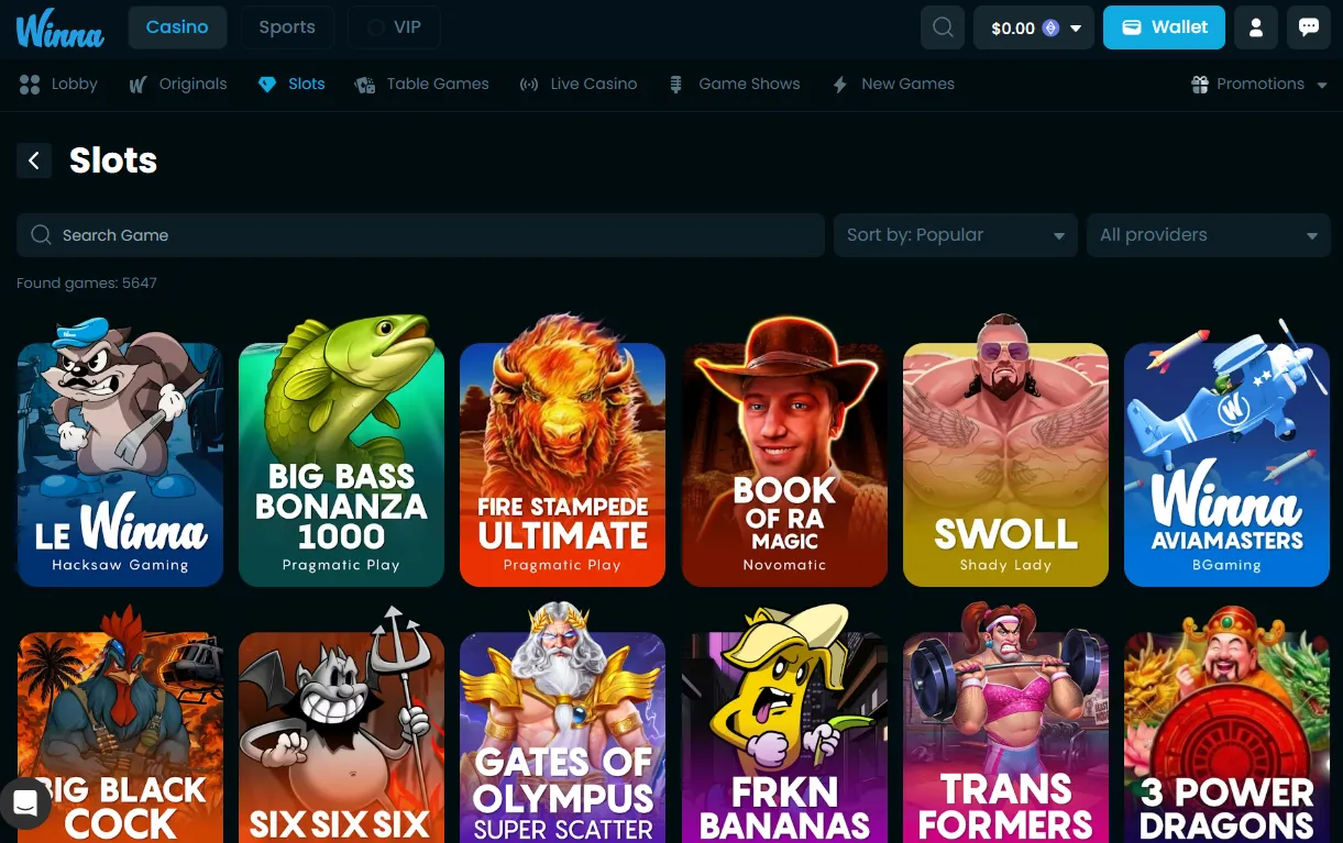 Winna Casino Interface & Design – Screenshot 2026